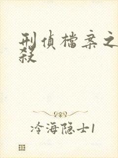刑侦档案之血谜杀封面