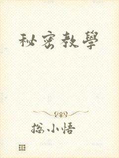 秘密教学