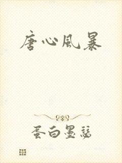 唐心风暴封面