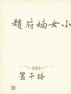 赵府嫡女小说