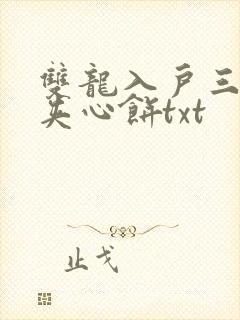 双龙入户三人行夹心饼txt