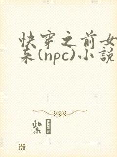 快穿之前女友归来(npc)小说免费阅读