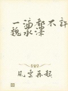 一滴都不许漏 魏承泽封面