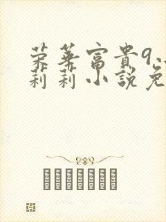 荣华富贵9小王莉莉小说免费阅读
