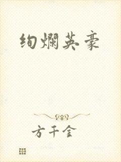 绚烂英豪封面