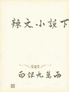 辣文小说下载