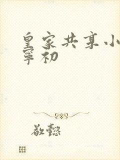 皇家共享小公主宁初