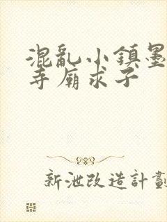 混乱小镇墨池砚寺庙求子封面