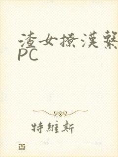 渣女撩汉系统NPC