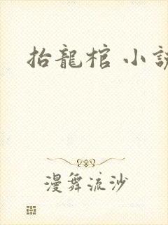 抬龙棺 小说
