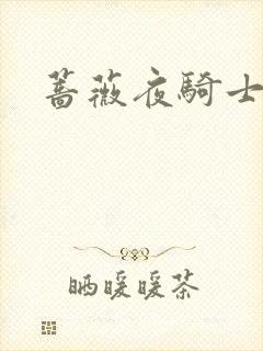 蔷薇夜骑士