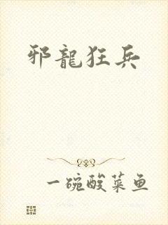 邪龙狂兵封面