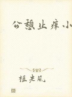 公憩止痒小说封面