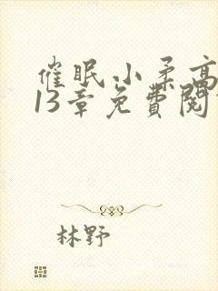 催眠小柔高达第13章免费阅读