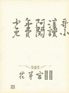 少年阿滨哥全文免费阅读小说