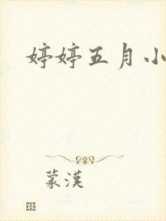 婷婷五月小说封面