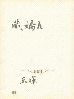 藏娇h封面