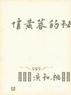 俏黄蓉的秘密封面