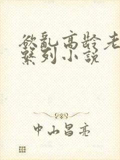 欲乱高龄老女人系列小说封面