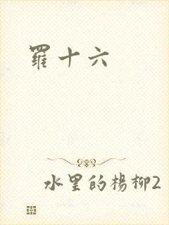 罗十六