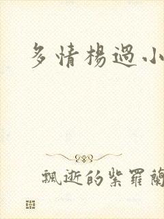 多情杨过小说