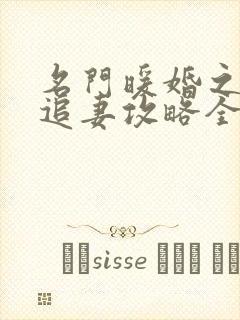 名门暖婚之权爷追妻攻略全文免费阅读