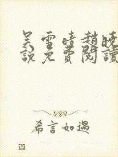 吴雪晴赵晓东小说免费阅读