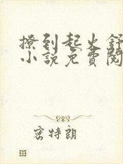 撩到起火舒漾的小说免费阅读全文封面