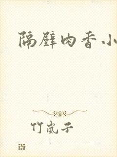 隔壁肉香小说