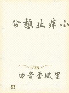公憩止痒小说封面