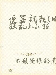 便器调教(肉体狂乱)小说