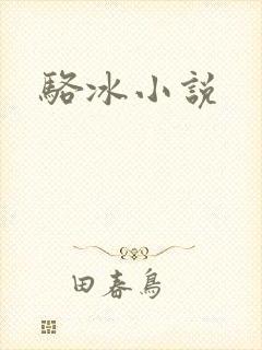 骆冰小说