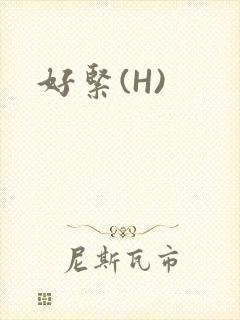 好紧(H)