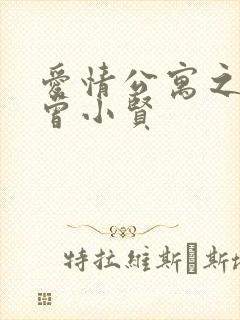 爱情公寓之极品曾小贤