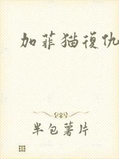 加菲猫复仇记封面