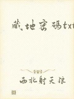 藏地密码txt