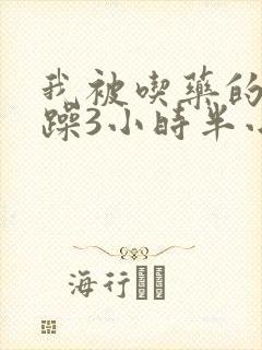 我被吃药的公狂躁3小时半小说封面