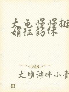 大龟慢慢挺进张娟征的休