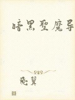 暗黑圣魔导封面