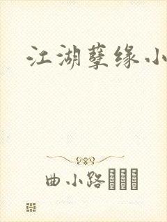 江湖孽缘小说封面