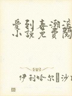 爱到春潮滚滚来小说免费阅读