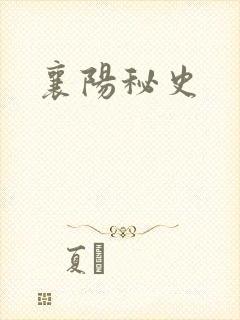 襄阳秘史
