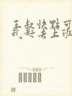 王叔快点可以吗我赶去上班