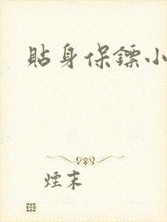贴身保镖小说