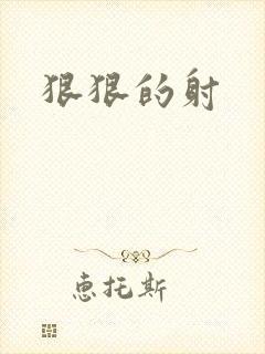 狠狠的射