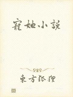 宠她小说
