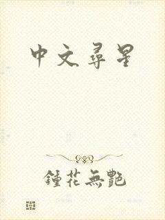 中文寻星