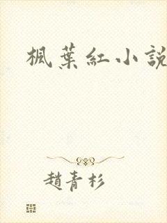 枫叶红小说封面
