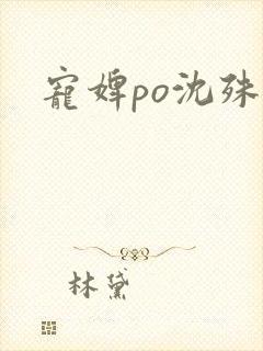 宠婢po沈殊辞封面