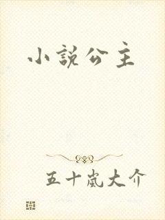 小说公主封面